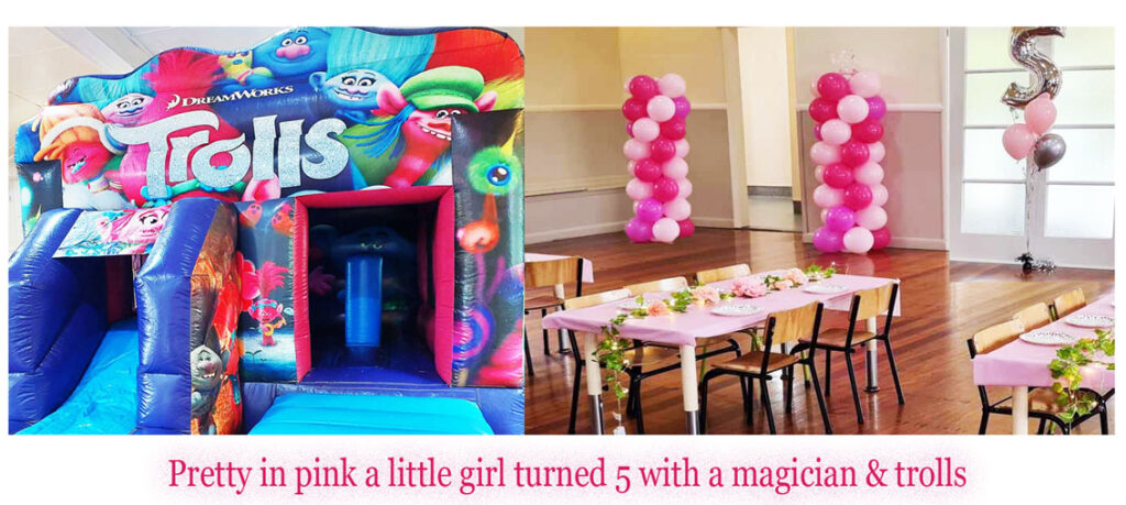 Buckland Hall is the perfect venue when a little girl turns 5